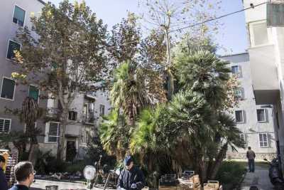 Case basse, giardini, mercati all'aperto e ponticelli: � la Japigia sorta negli anni 50